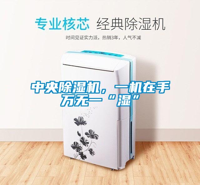 中央除濕機，一機在手萬無一“濕”