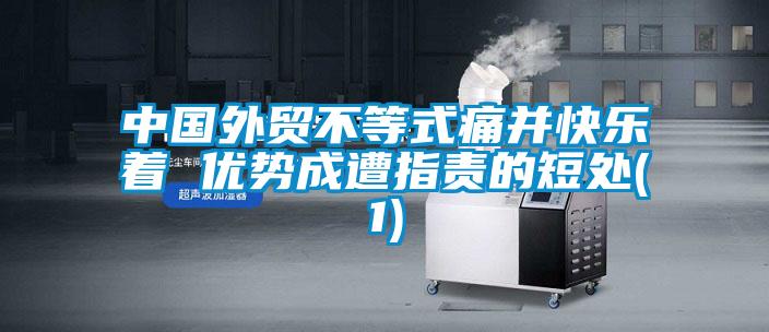 中國外貿(mào)不等式痛并快樂著 優(yōu)勢成遭指責的短處(1)