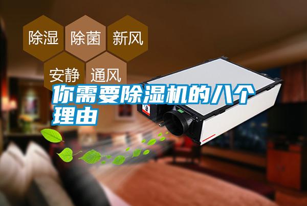你需要除濕機(jī)的八個理由