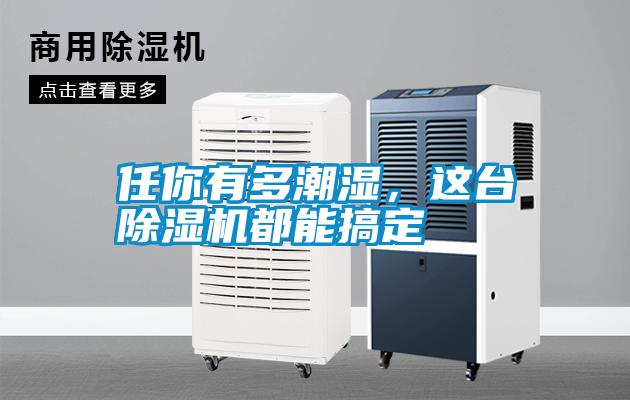 任你有多潮濕，這臺除濕機都能搞定