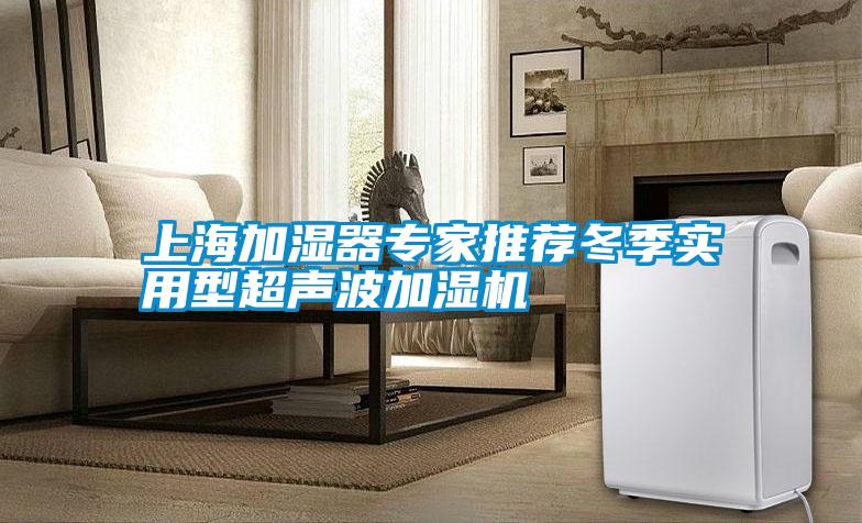 上海加濕器專(zhuān)家推薦冬季實(shí)用型超聲波加濕機(jī)