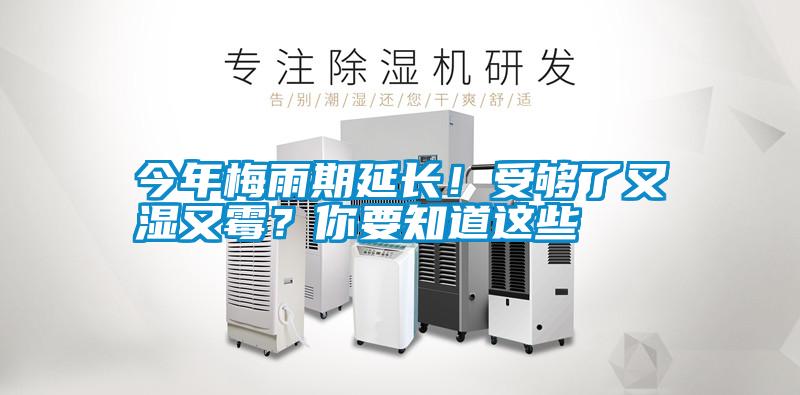 今年梅雨期延長(zhǎng)！受夠了又濕又霉？你要知道這些