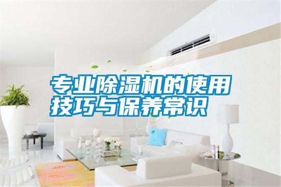 專(zhuān)業(yè)除濕機(jī)的使用技巧與保養(yǎng)常識(shí)