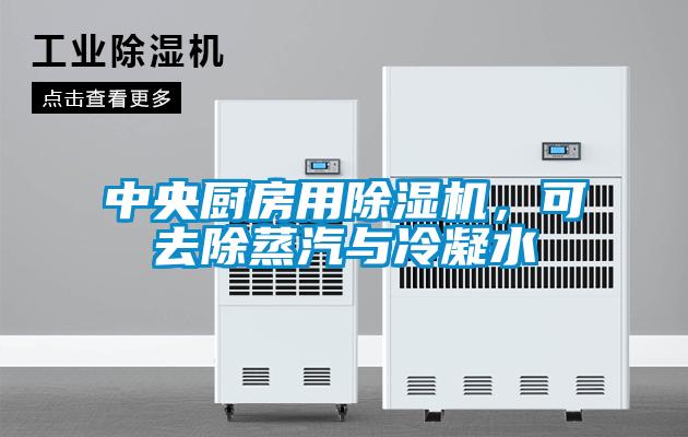 中央廚房用除濕機(jī)，可去除蒸汽與冷凝水