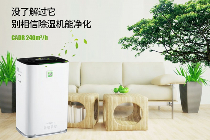 一到回南天狗狗就感冒+皮膚病，怎么辦？