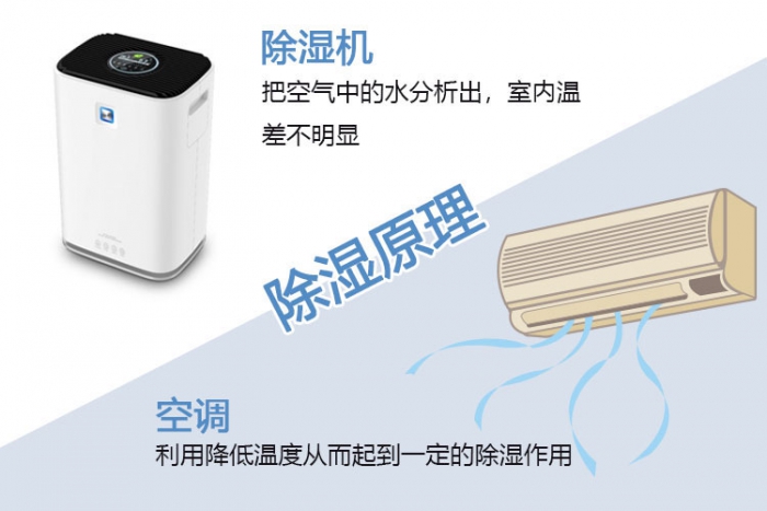 使用除濕機對于哮喘有什么幫助？