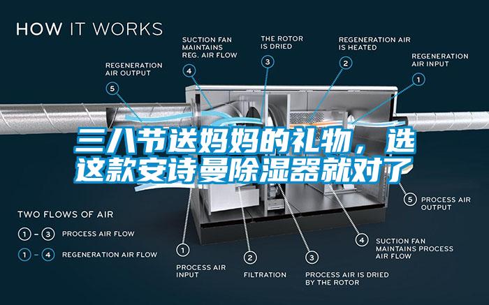 三八節送媽媽的禮物，選這款安詩曼除濕器就對了
