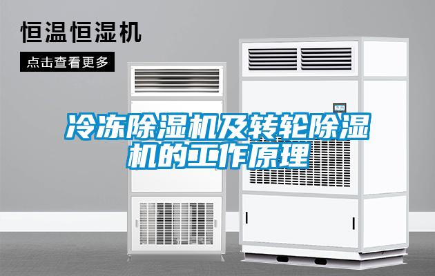 冷凍除濕機及轉輪除濕機的工作原理