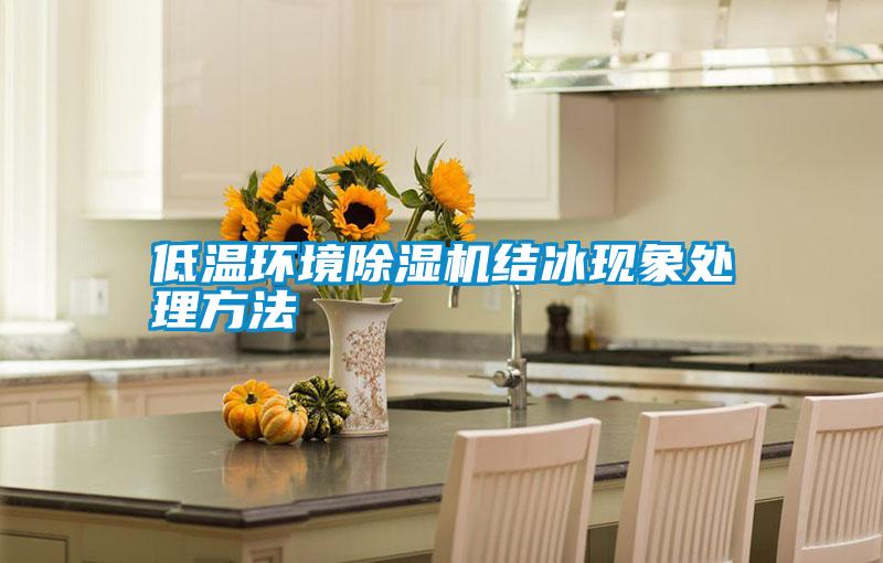 低溫環境除濕機結冰現象處理方法
