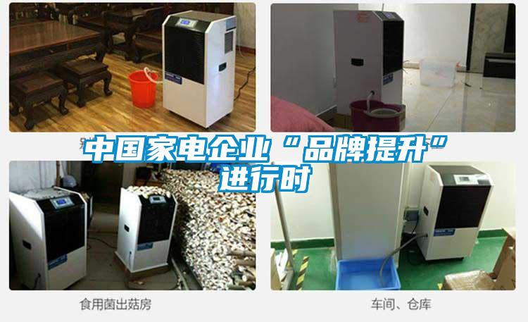中國家電企業“品牌提升”進行時