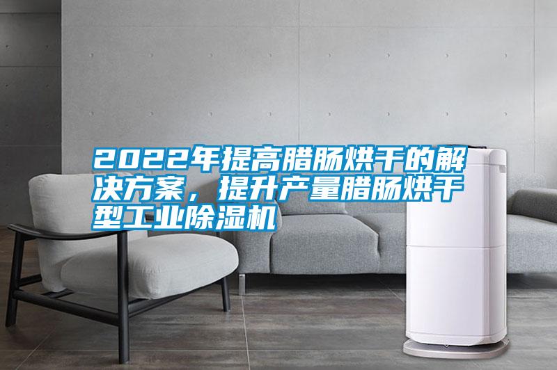 2022年提高臘腸烘干的解決方案，提升產量臘腸烘干型工業除濕機