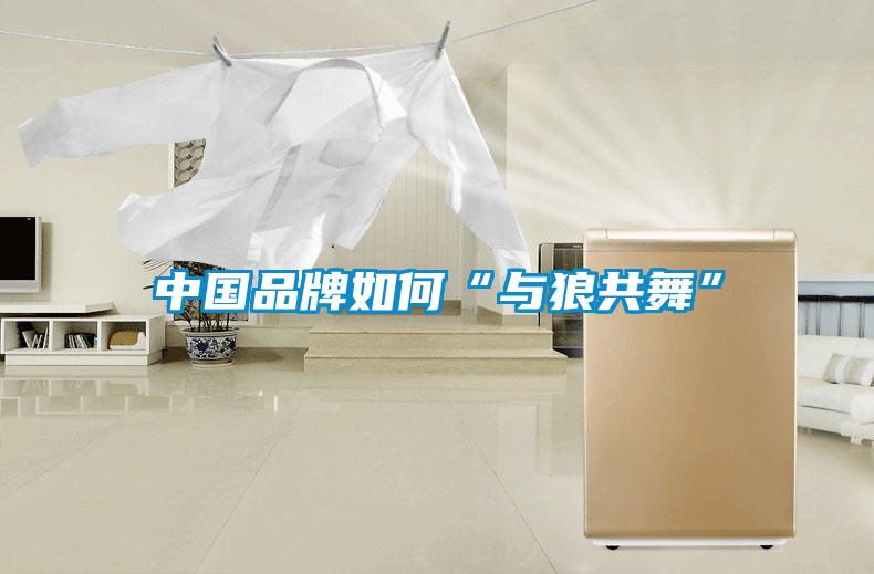 中國(guó)品牌如何“與狼共舞”
