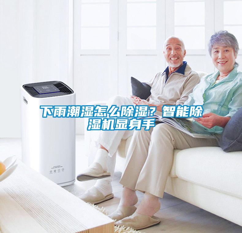 下雨潮濕怎么除濕？智能除濕機顯身手