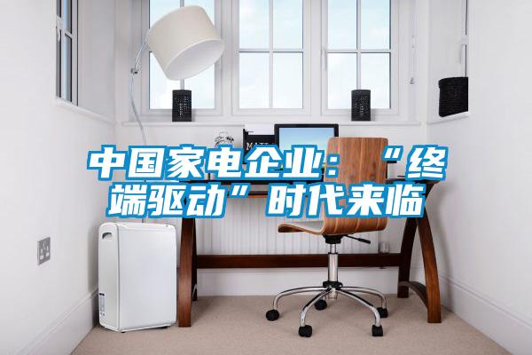 中國家電企業(yè)：“終端驅(qū)動”時代來臨