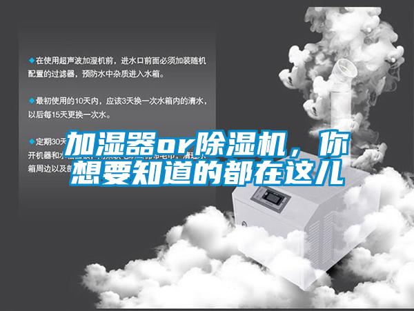 加濕器or除濕機，你想要知道的都在這兒