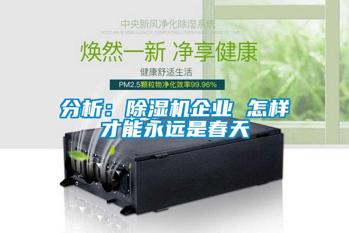 分析：除濕機(jī)企業(yè) 怎樣才能永遠(yuǎn)是春天