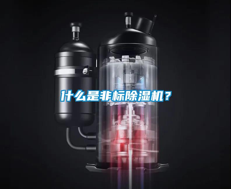 什么是非標除濕機？