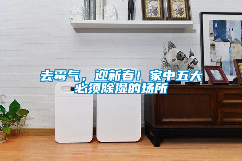 去霉氣，迎新春！家中五大必須除濕的場(chǎng)所