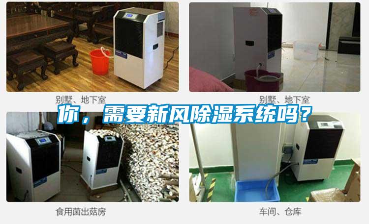 你，需要新風除濕系統(tǒng)嗎？