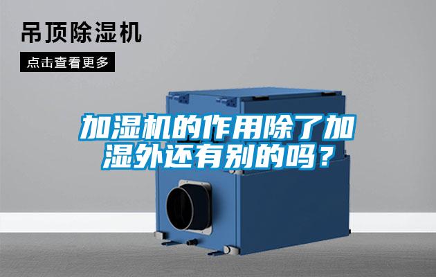 加濕機的作用除了加濕外還有別的嗎？