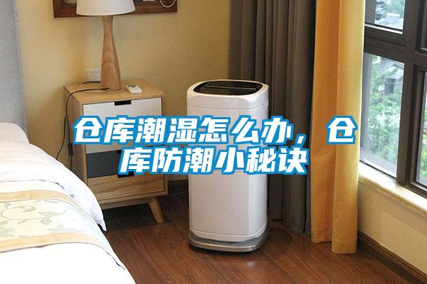倉庫潮濕怎么辦，倉庫防潮小秘訣