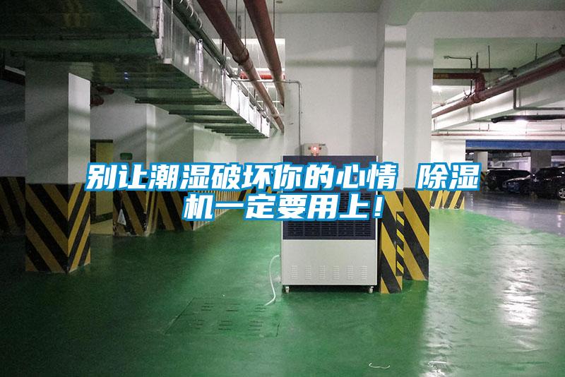 別讓潮濕破壞你的心情 除濕機一定要用上！