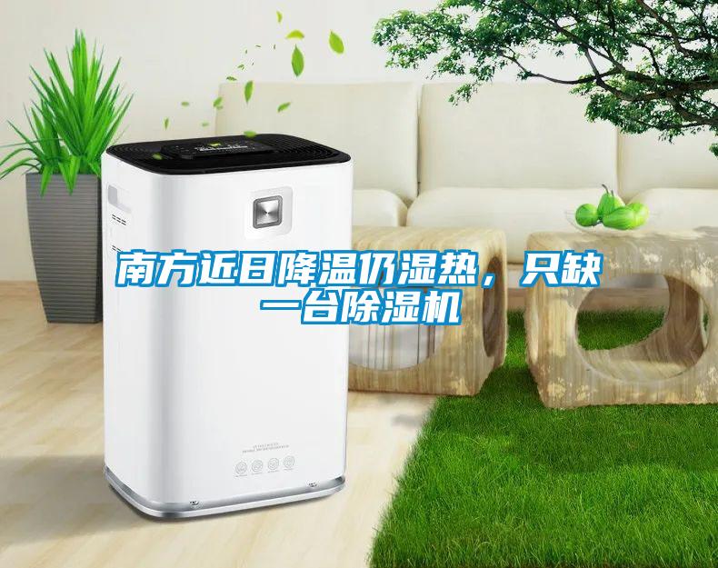 南方近日降溫仍濕熱，只缺一臺除濕機