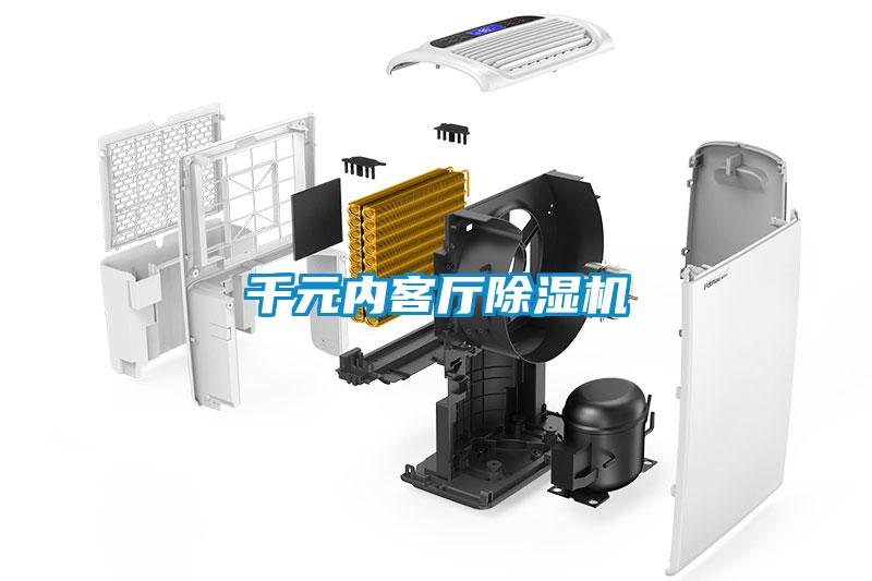 千元內客廳除濕機