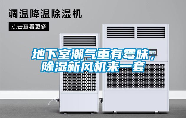 地下室潮氣重有霉味，除濕新風機來一套