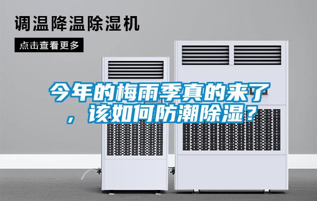 今年的梅雨季真的來了，該如何防潮除濕？
