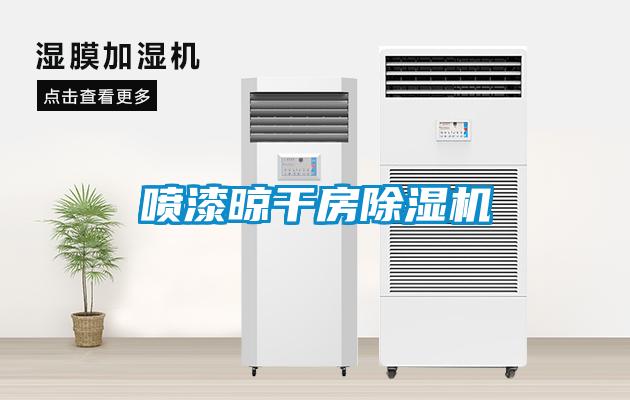 噴漆晾干房除濕機(jī)