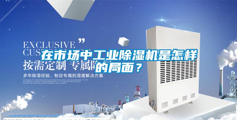 在市場(chǎng)中工業(yè)除濕機(jī)是怎樣的局面？