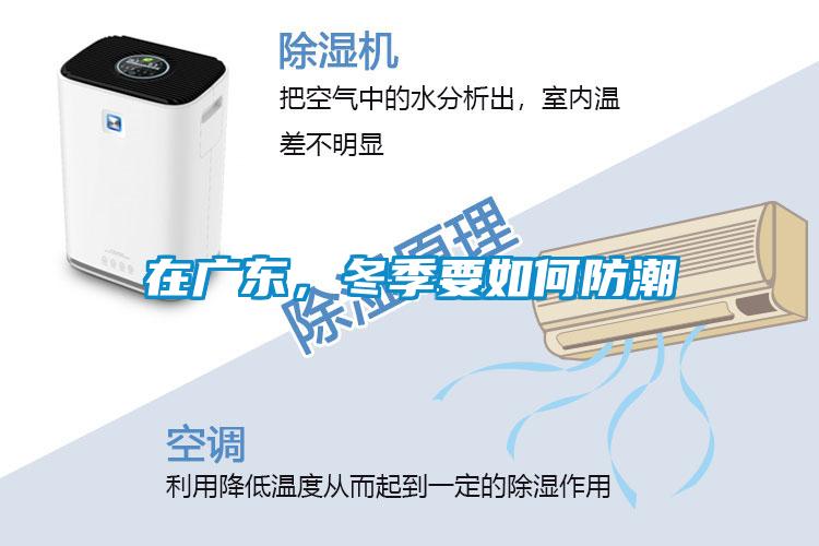 在廣東，冬季要如何防潮
