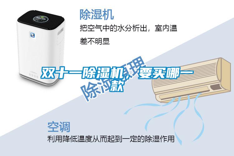 雙十一除濕機(jī)，要買哪一款