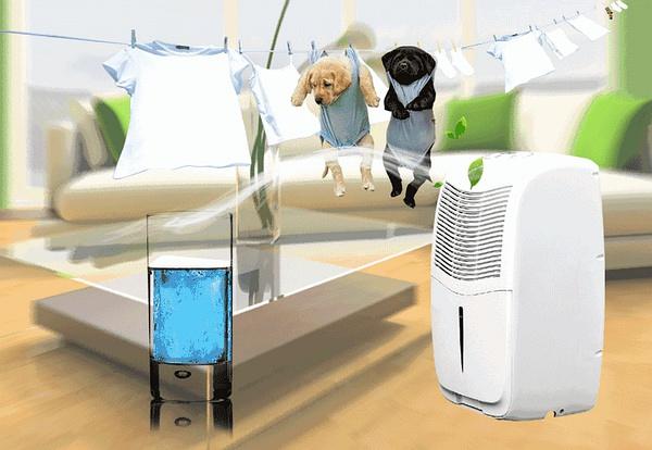 變革：抽濕器廠家驅動轉型 關鍵促創新