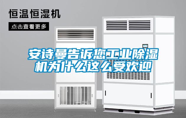 安詩曼告訴您工業(yè)除濕機(jī)為什么這么受歡迎
