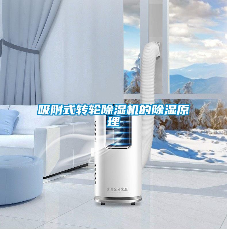 吸附式轉(zhuǎn)輪除濕機(jī)的除濕原理
