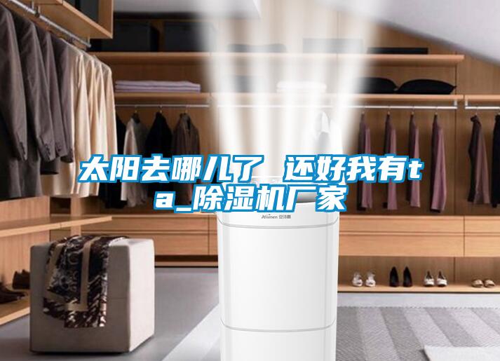 太陽去哪兒了 還好我有ta_除濕機廠家