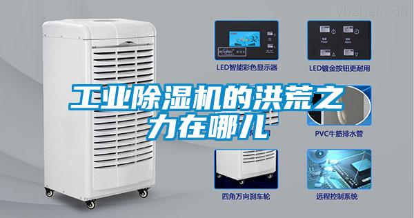 工業除濕機的洪荒之力在哪兒