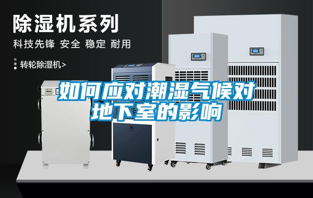 如何應對潮濕氣候對地下室的影響