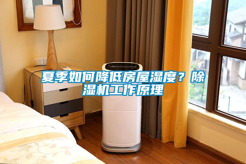 夏季如何降低房屋濕度？除濕機工作原理
