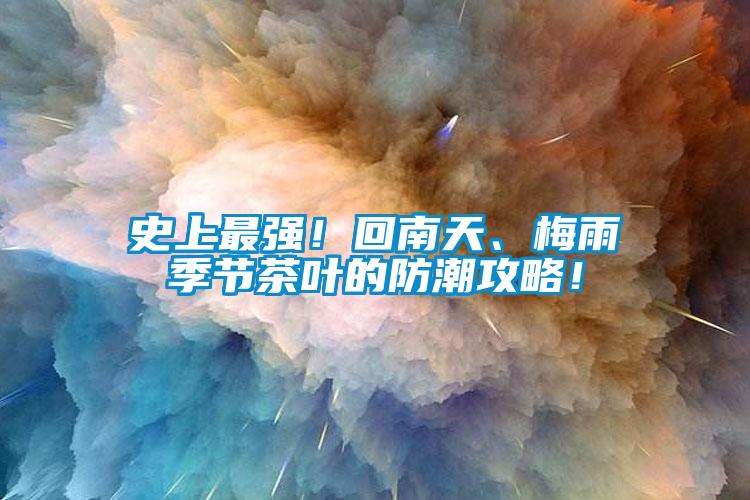 史上最強！回南天、梅雨季節(jié)茶葉的防潮攻略！