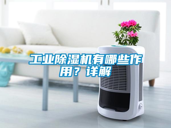 工業除濕機有哪些作用？詳解