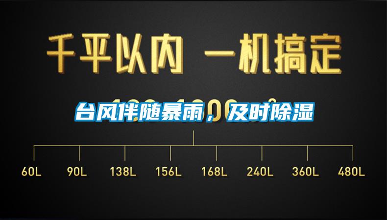 臺風伴隨暴雨，及時除濕