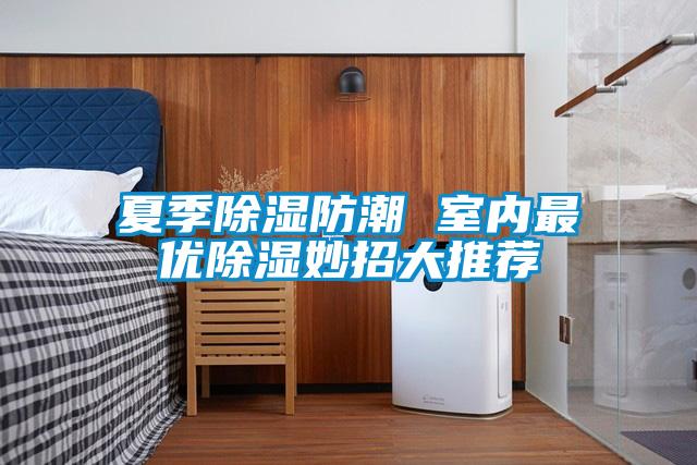 夏季除濕防潮 室內最優除濕妙招大推薦