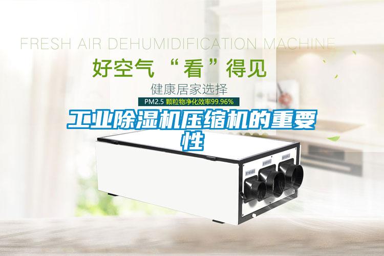 工業除濕機壓縮機的重要性