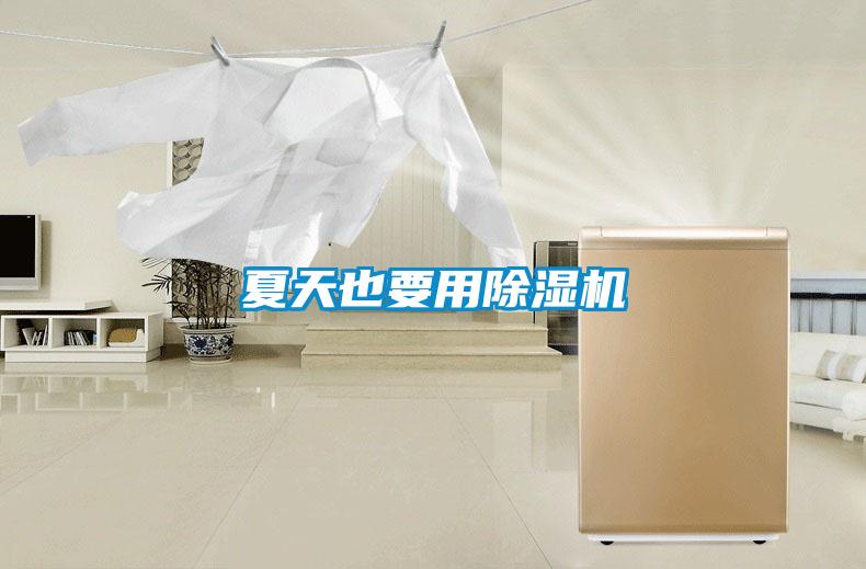 夏天也要用除濕機