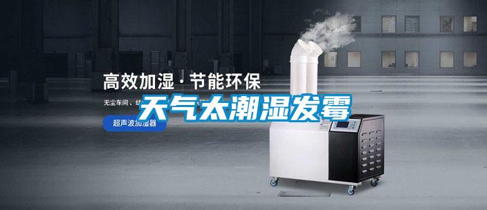 天氣太潮濕發霉