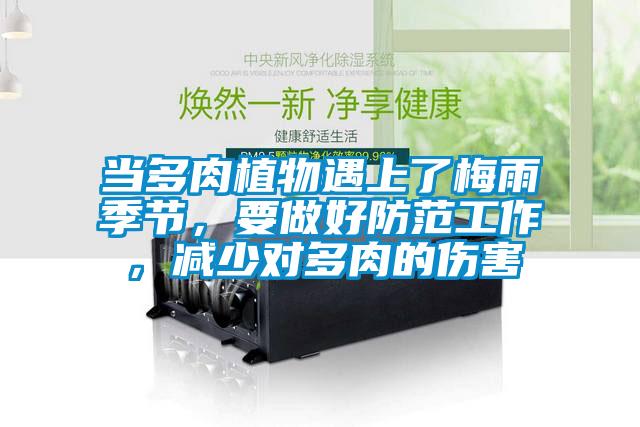 當多肉植物遇上了梅雨季節，要做好防范工作，減少對多肉的傷害