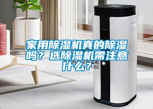 家用除濕機真的除濕嗎？選除濕機需注意什么？